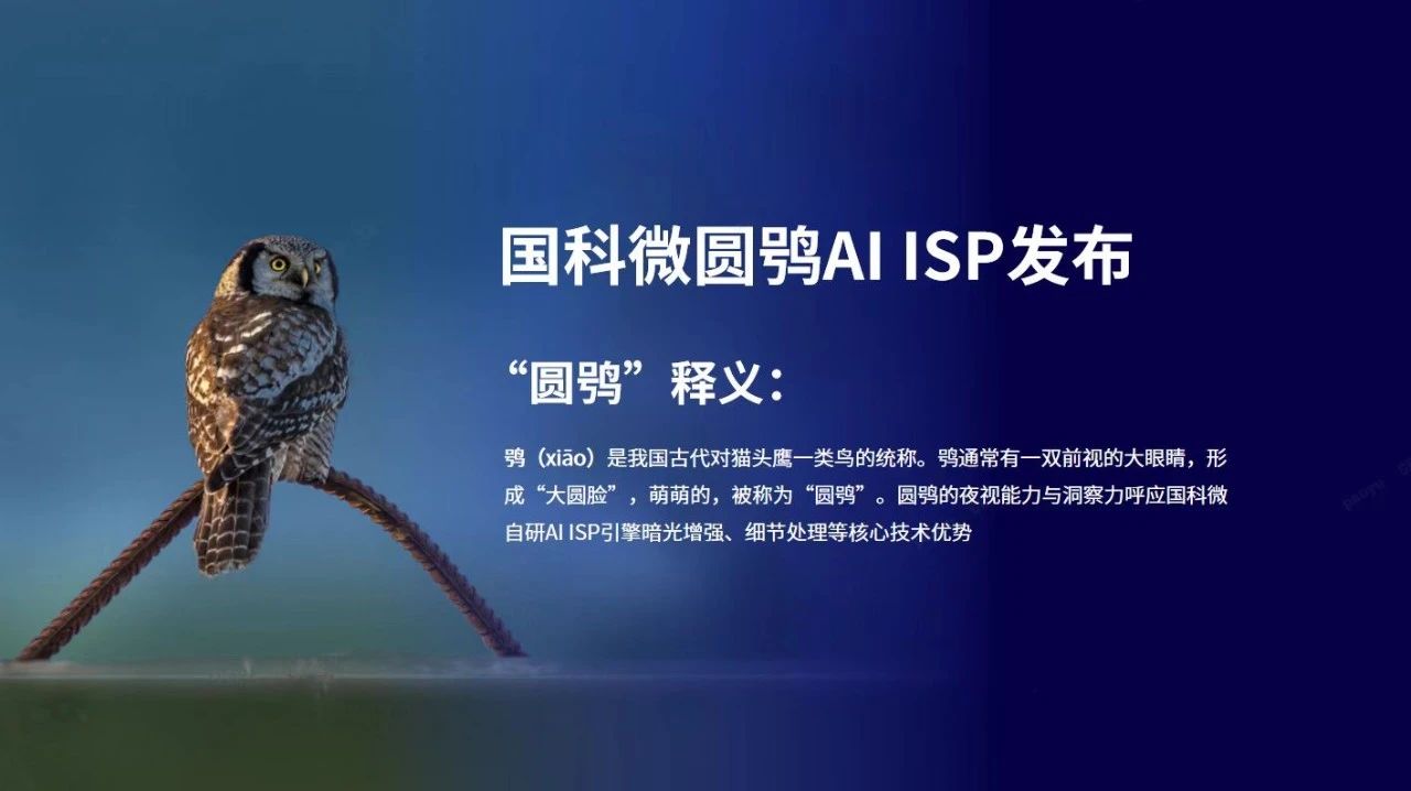 b950f8fea96a63d39a543b7f93f08b71.jpg