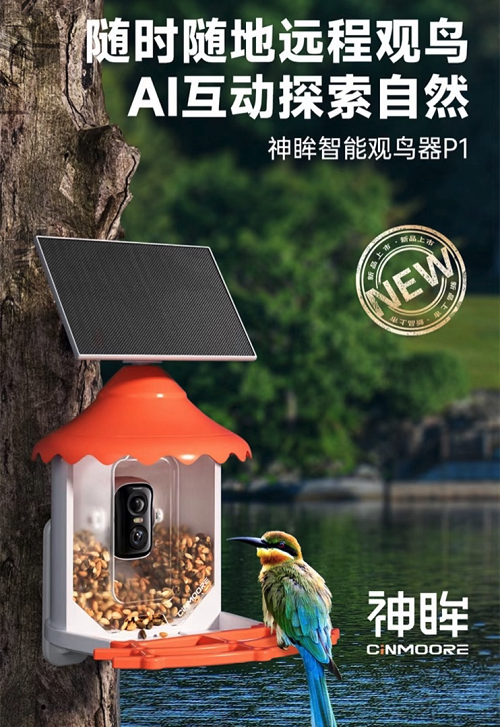 图片 5.png