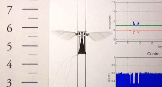 这是研制实验室对外展示的一段录像中的截图，显示一台微型飞行机器人正振翅执行垂向飞行测试，系统采用了闭合线路控制