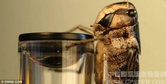 英科学家设计智能车辆碰撞探测器