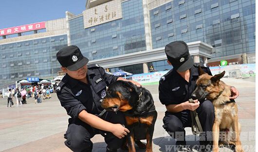 内蒙古多个火车站增加防暴犬巡逻