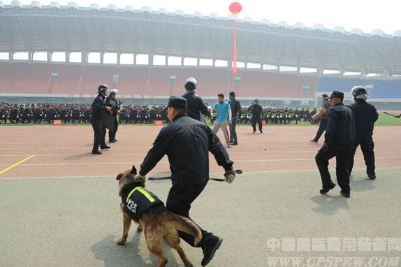 迁安进行“警务实战春季整训”汇报