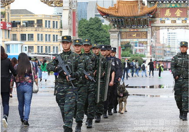 中国国际警用装备网讯:6月12日,在第4届南博会开幕现场,武警云南